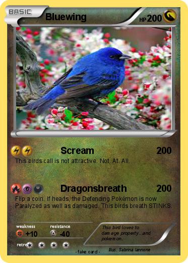 Pokemon Bluewing