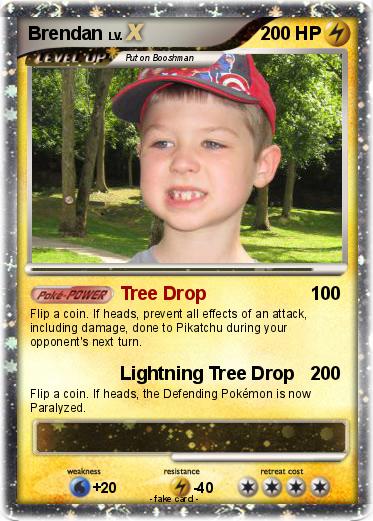 Pokemon Brendan