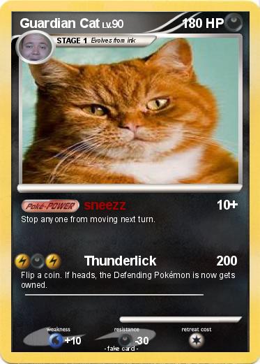 Pokemon Guardian Cat