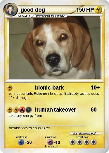 Pokemon good dog