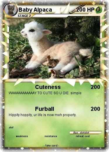 Pokemon Baby Alpaca