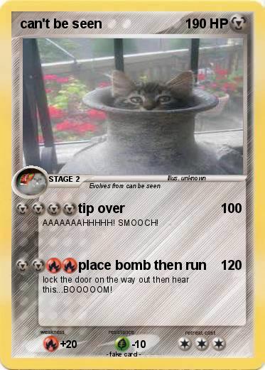 Pokemon can't be seen