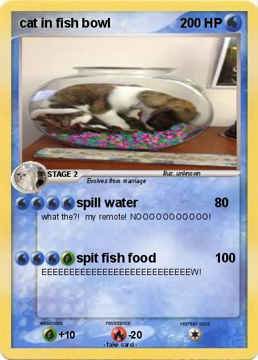 Pokemon cat in fish bowl