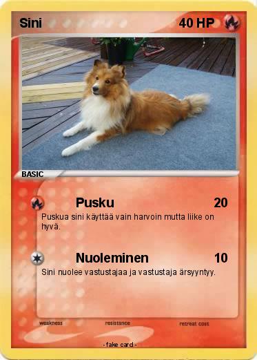 Pokemon Sini