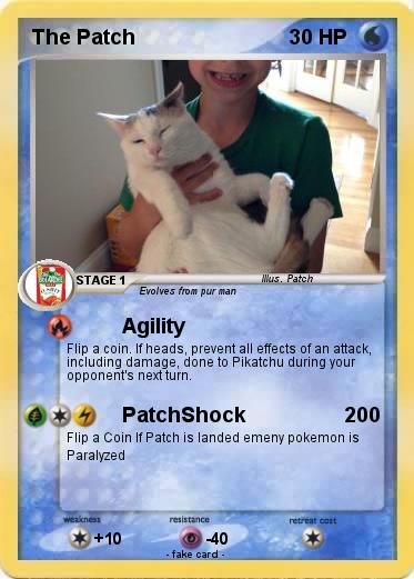 Pokemon The Patch