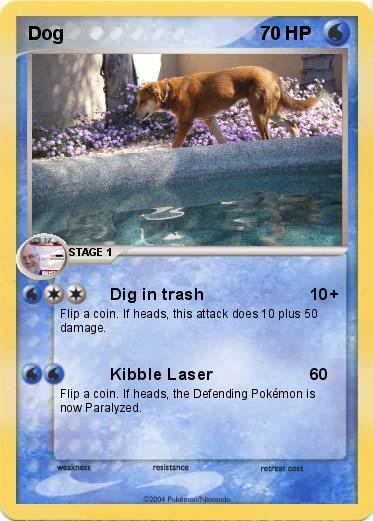 Pokemon Dog