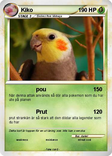 Pokemon Kiko