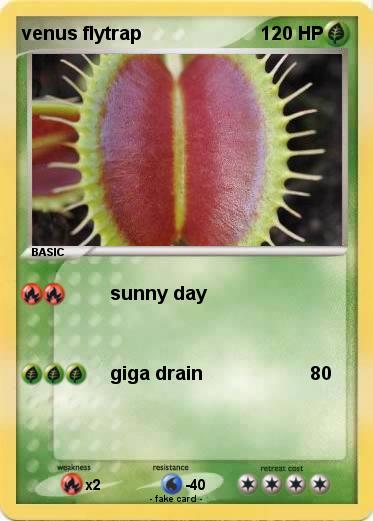 Pokemon venus flytrap