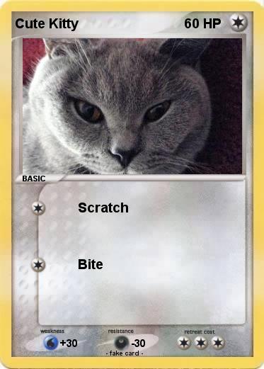 Pokemon Cute Kitty