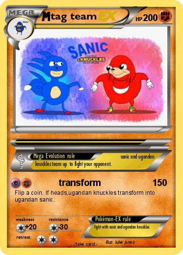 Pokemon tag team