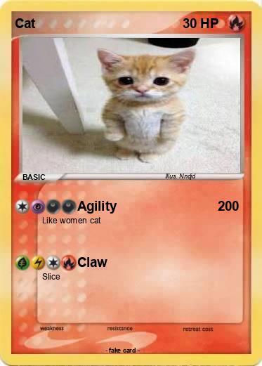 Pokemon Cat