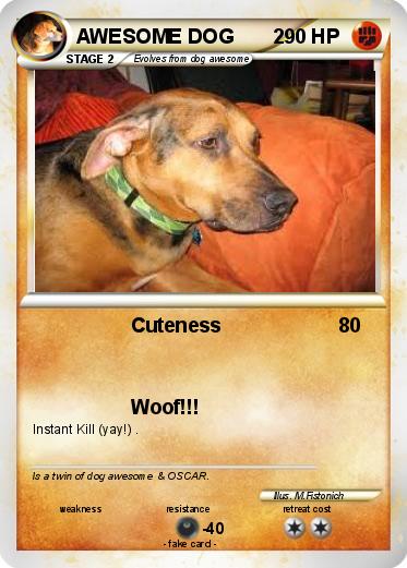 Pokemon AWESOME DOG       2