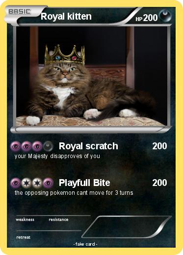 Pokemon Royal kitten