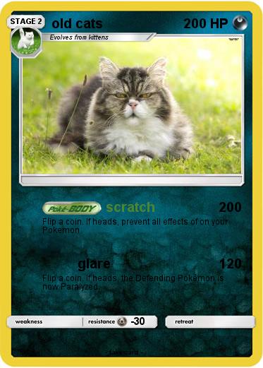 Pokemon old cats