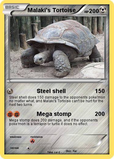 Pokemon Malaki's Tortoise