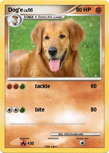 Pokemon Dog'e