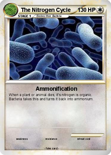 Pokemon The Nitrogen Cycle