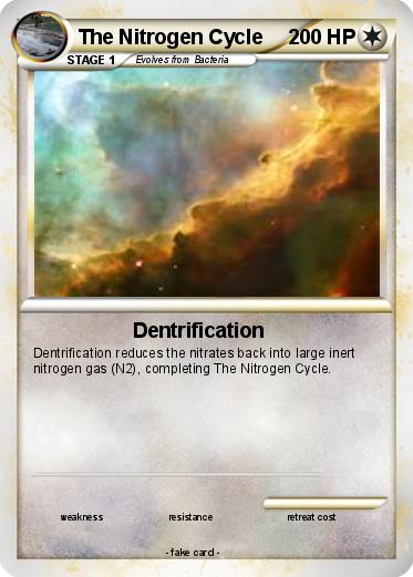 Pokemon The Nitrogen Cycle