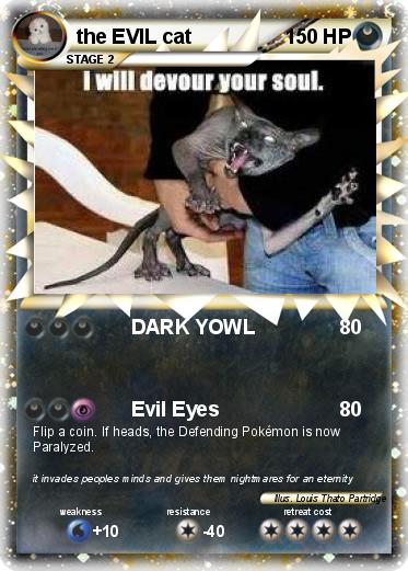 Pokemon the EVIL cat