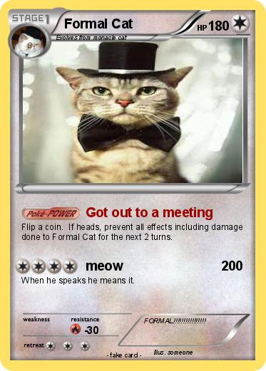 Pokemon Formal Cat