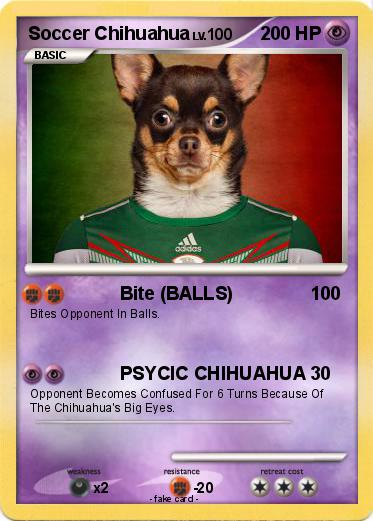 Pokemon Soccer Chihuahua