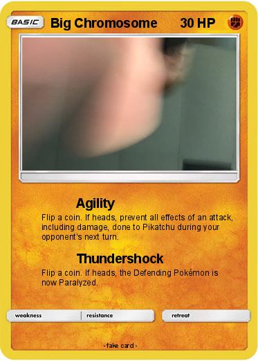 Pokemon Big Chromosome