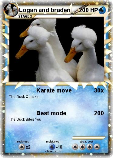 Pokemon Logan and braden