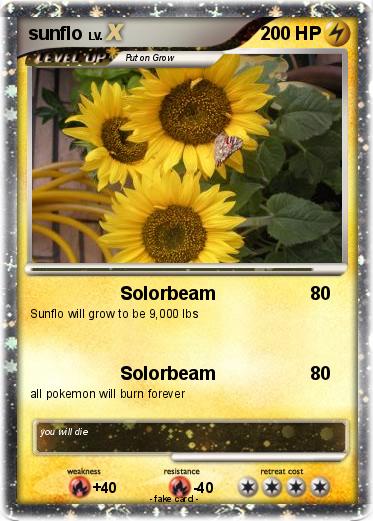 Pokemon sunflo