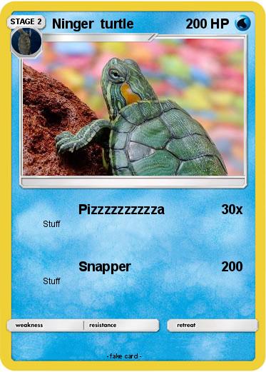 Pokemon Ninger  turtle