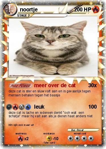 Pokemon noortje