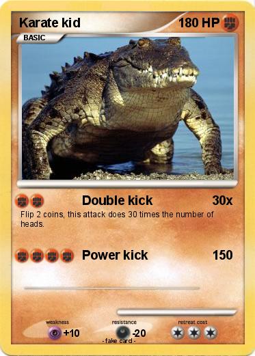 Pokemon Karate kid