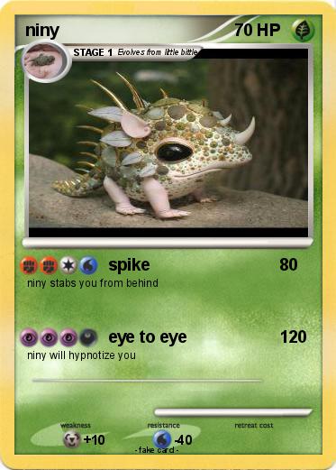 Pokemon niny