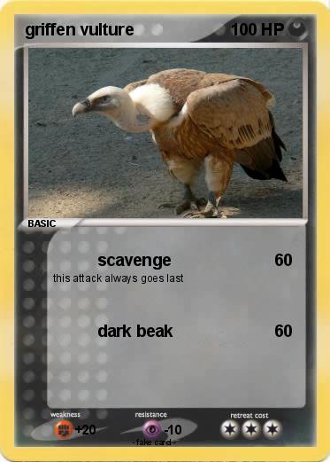 Pokemon griffen vulture
