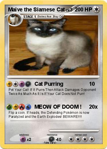 Pokemon Maive the Siamese Cat