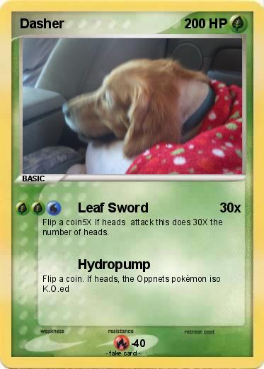 Pokemon Dasher