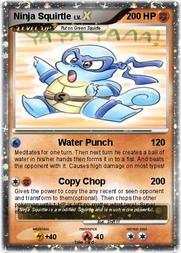 Pokemon Ninja Squirtle