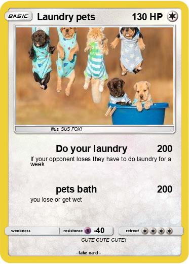 Pokemon Laundry pets
