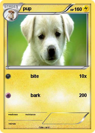 Pokemon pup
