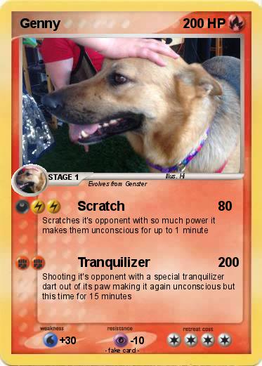 Pokemon Genny