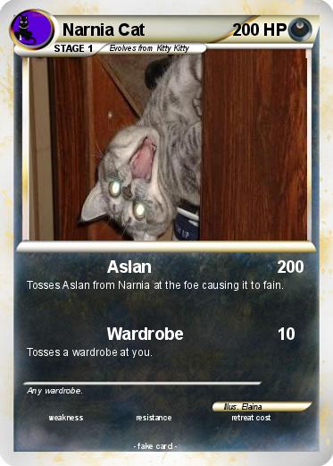 Pokemon Narnia Cat
