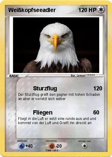 Pokemon Weißkopfseeadler