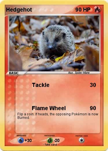 Pokemon Hedgehot