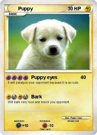 Pokemon Puppy
