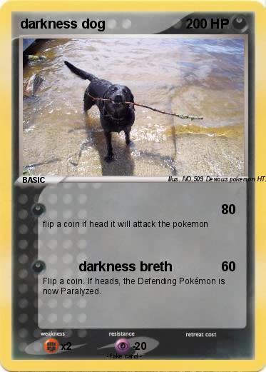 Pokemon darkness dog