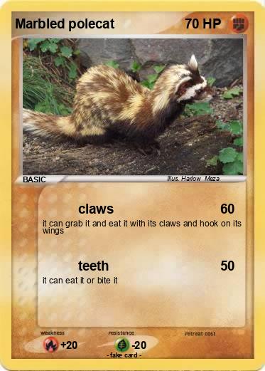 Pokemon Marbled polecat