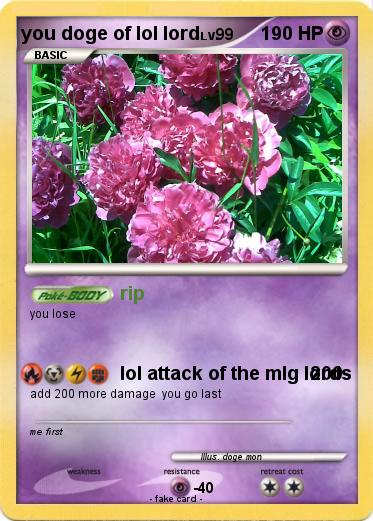 Pokemon you doge of lol lord