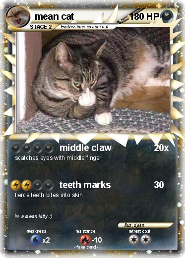 Pokemon mean cat