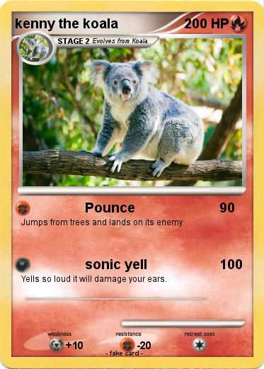 Pokemon kenny the koala