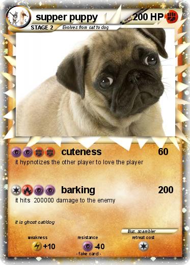 Pokemon supper puppy