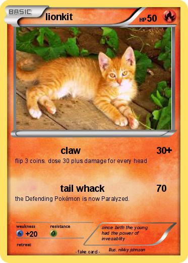 Pokemon lionkit